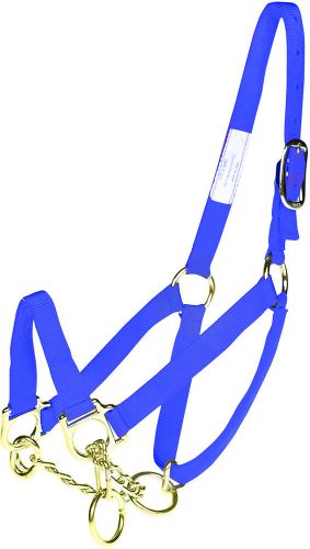 Adjustable 1&#034; Nylon Cow Control Halter with Chain (Calf Size) Blue