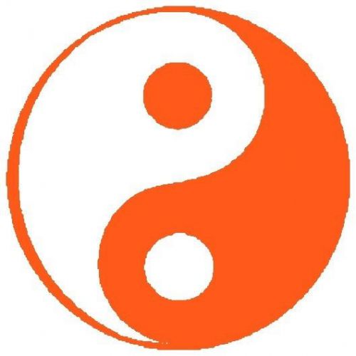30 Custom Orange Yin Yang Personalized Address Labels