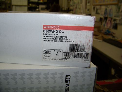 Wiremold Downward Duplex Device Plate DS4000 Series 20 ea. #DSDWND-DG
