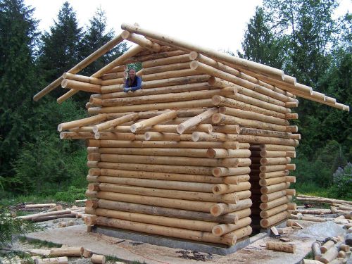 Onalaska log house building class may 28, june 25, aug 6, sept 3- butt and pass for sale