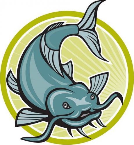 30 Custom Catfish Personalized Address Labels