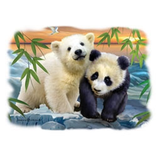 Panda &amp; Polar Cubs HEAT PRESS TRANSFER for T Shirt Sweatshirt Tote Fabric 226f