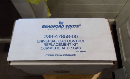 Bradford White 239-47858-00 Commercial Liquid Propane Valve Kit (180°F
