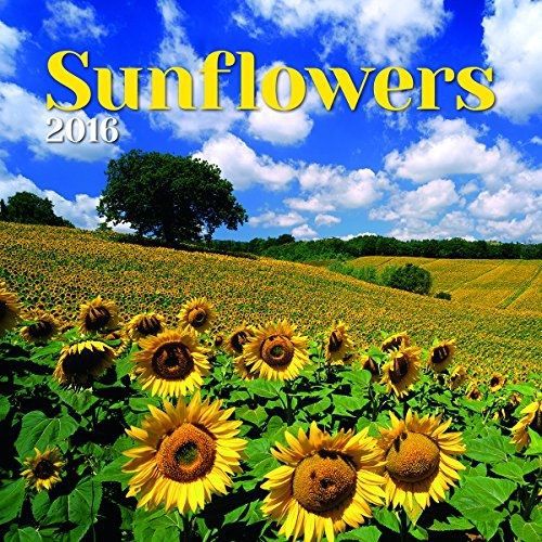 Turner Sunflowers 2016 Wall Calendar (8940054)