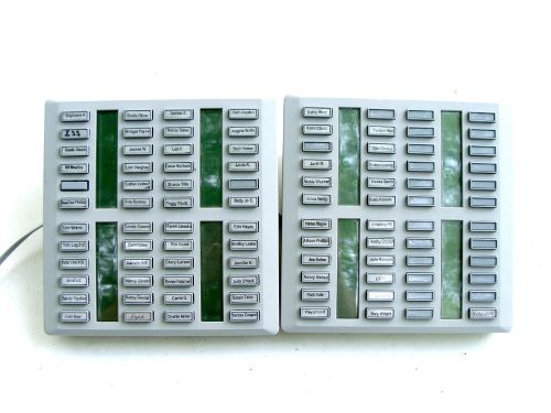 2x nortel norstar cap / klm 48 button nt8b41fa-93 - grey expansion module - used for sale