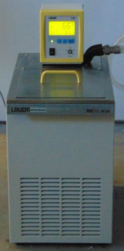 Lauda Ecoline RE-310 Refrigerating Circulator Chiller Water Bath RE310