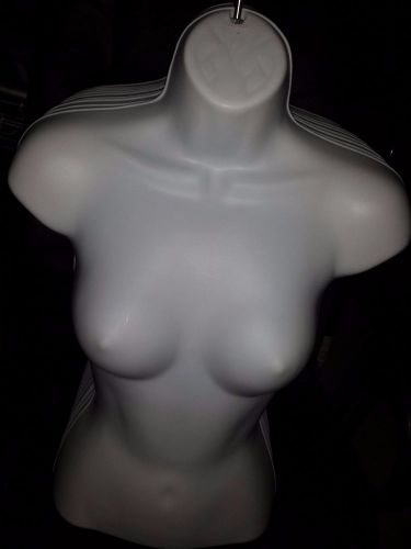 5 Womens Torso Mannequins