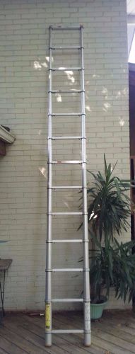 Extend and Climb/Telescoping Ladder 12.5 Feet