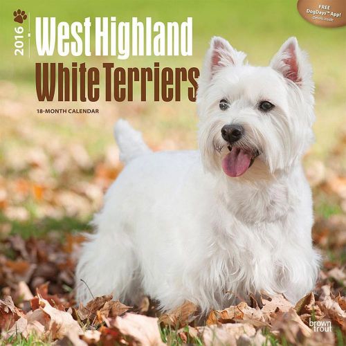 2016 West Highland White Terriers Wall Calendar NEW DogDay app dog canine westie