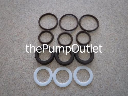 Pump Repair Packing Kit MITM 70-0515 Danau A12242