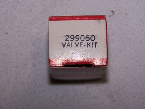 vintage briggs and stratton valve kit # 299060