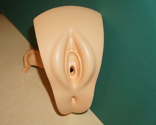 VINTAGE LOESTRIN PARKE-DAVIS VAGINA MODEL