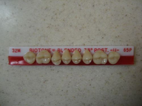 Dentsply trubyte biotone 33° upper posterior mould 32m / 65p for sale