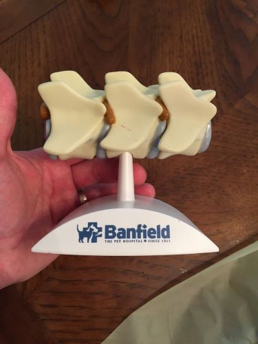 Vet Anatomical Model Dog Spine Veterinary Bag Banfield Model Rare Teaching