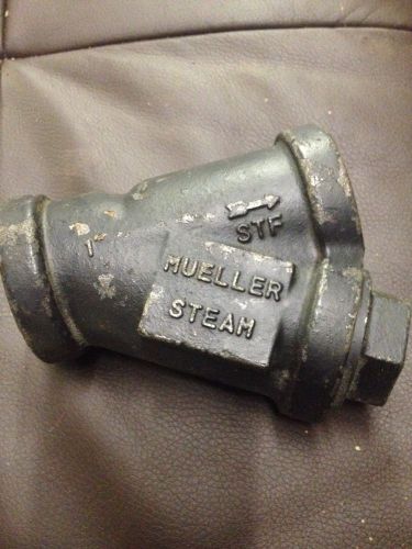 1&#034;Mueller steam with  strainer