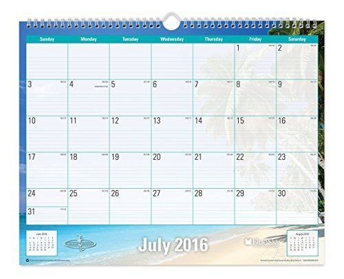 Blue Sky 2016-2017 Academic Year Wall Calendar Wire-O Binding 15&#034; x 12&#034; Endle...