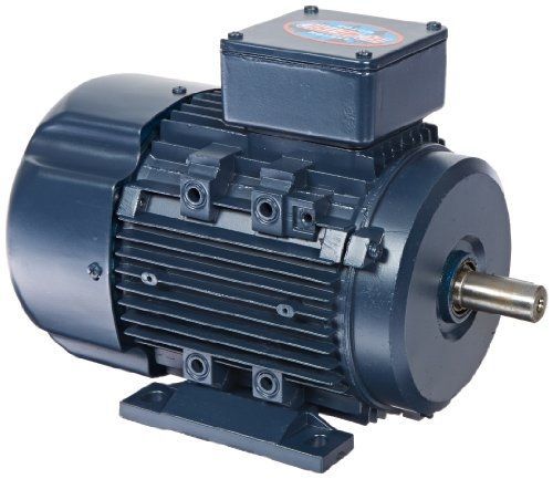 Leeson 192050.00 Rigid Base IEC Metric Motor, 3 Phase, D80 Frame, B3 Mounting,