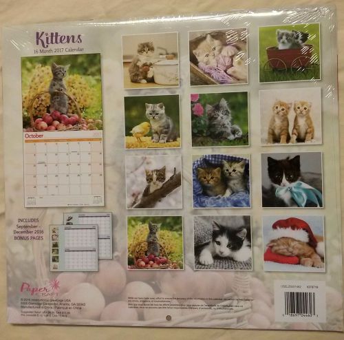 Cute Cats Kittens Gallery Annual 2017 Monthly Wall Calendar hanging 12 month