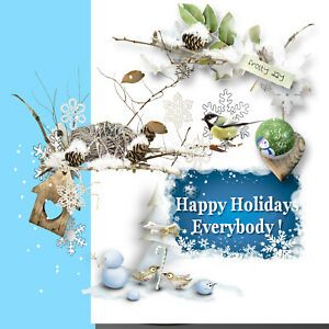 CHRISTMAS WINTER .png &amp; vector 1700+ best clip art ROYALTY-FREE DVD