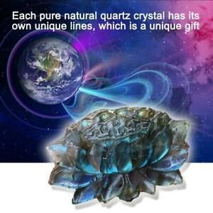 Natural Flash Labradorite Hand-carved Quartz Crystal Healing x1PCS