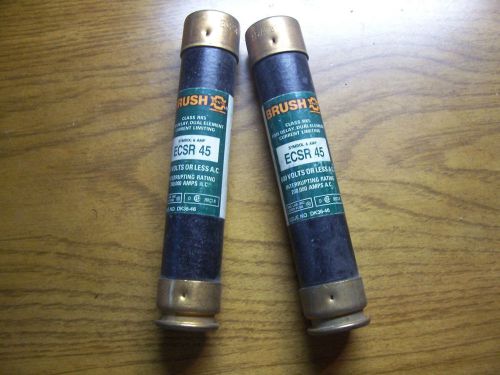 LOT of 2 NEW  BRUSH ECSR 45 TIME DELAY DUAL ELEMENT CURRENT LIMITING CLASS RK5