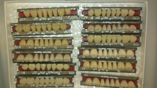 Dentsply Trubyte IPN Teeth variety