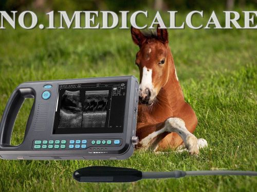 Digital Palm Smart Ultrasound Scanner,6.5M Rectal Probe 2Y Warranty