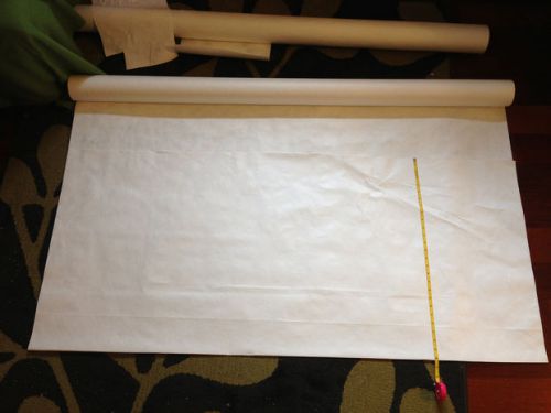 5 by 8 foot White Dupont Tyvek inexpensive projection Movie screen material