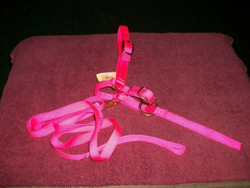 Sheep Halter Pink in color