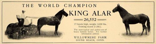 1906 ad cheval world champion horse willowmere farm sound beach king alar cl8 for sale