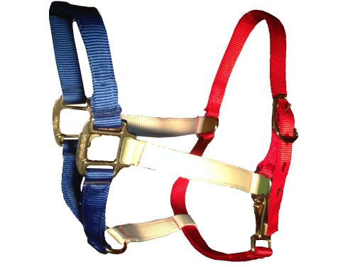 Blue Creek - Blue White and Red -Nylon Halter Quarter Horse