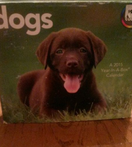 Dogs a 2015 year in a box desktop calender