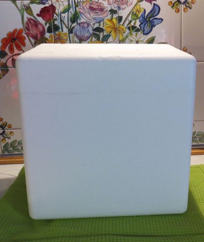 Styrofoam Cooler Insulated Shipping  Container Box 11 X 9  X 11