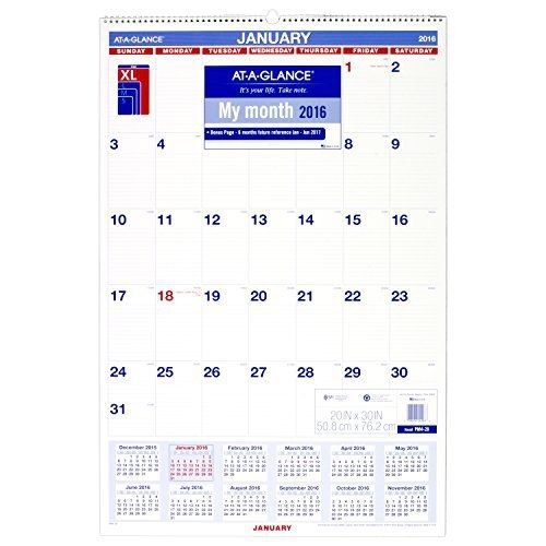 At-A-Glance AT-A-GLANCE Monthly Wall Calendar 2016, 20 x 30 Inches (PM4-28)