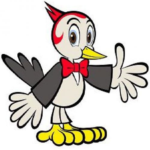 30 Custom Cartoon Bird Personalized Address Labels