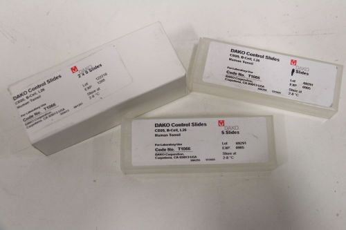 Dako Control Slides CD20 B-Cell L26 Human Tonsil T1066 *11 Slides* Lens
