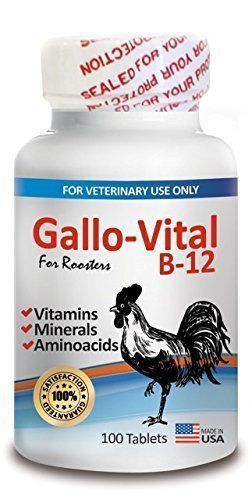 Gallo Vital B12 for Roosters (100 Tables)