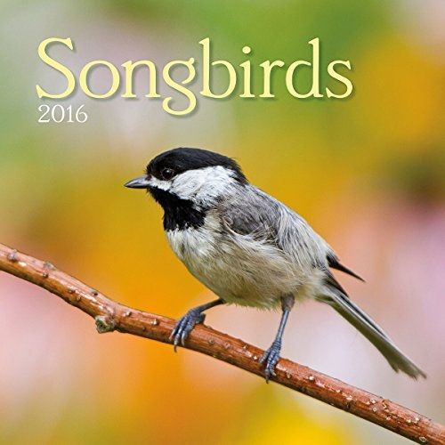Turner Songbirds 2016 Wall Calendar (8940052)