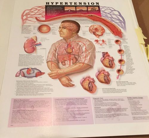 Hypertension * High Blood Pressure * Anatomy Poster * Anatomical Chart Company