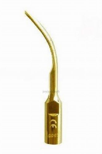 5Pcs Dental Ultrasonic Scaling Tip GD6T For DTE Satelec Handpiece Original JY
