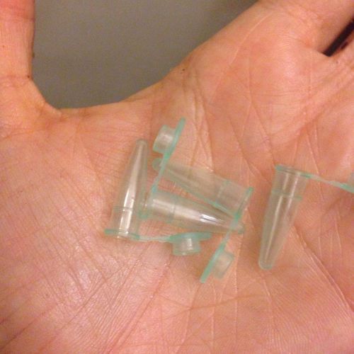 .02ml Thin-Wall Pcr Tubes 500 count