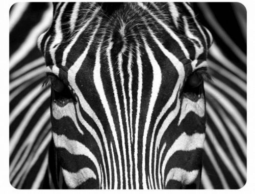 ZEBRA STRIPE Mouse Pad Mats Mousepad Offer 3