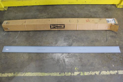 Lot of (2) panduit c4lg6 wire duct cover 6&#039; 6ft strips 4.25&#034; width x .37&#034; depth for sale