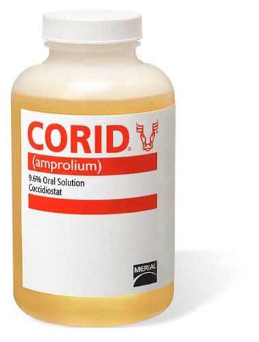 Merial corid 9.6% oral solution for cattle - 16 oz. for sale