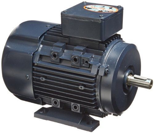 Leeson 192051.00 Rigid Base IEC Metric Motor, 3 Phase, D80 Frame, B3 Mounting,