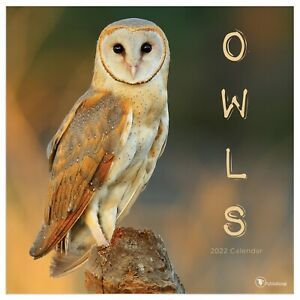 2022 Owls Wall Calendar
