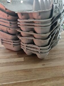 Dozen Egg Carton - 9