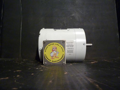 Leeson Washguard C6T17VC4G, 0.5 HP, 1725 RPM, Electric Motor