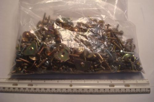 3.5 lb bag of old computer and monitor screws, mostly steel