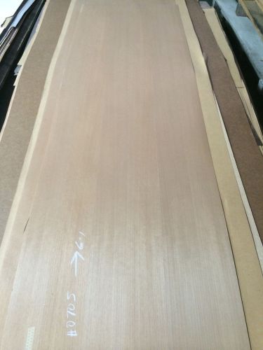 Wood Veneer Anigre 32x99 1pcs total 10mil glue paper backed  &#034;EXOTIC&#034; Lot10